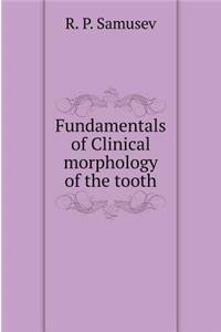 Fundamentals of Clinical morphology of the tooth