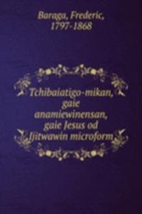 Tchibaiatigo-mikan, gaie anamiewinensan, gaie Jesus od Ijitwawin microform