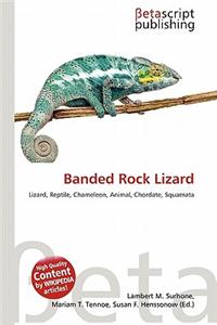 Banded Rock Lizard