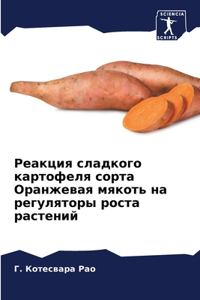 Реакция сладкого картофеля сорта Оранже