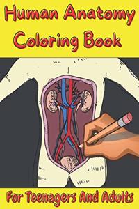 Human Anatomy Coloring Book For Teenagers And Adults