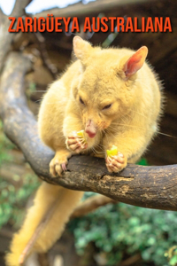 Zarigüeya australiana