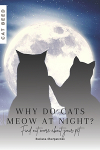 Why do cats meow at night?