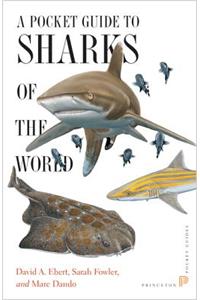 A Pocket Guide to Sharks of the World