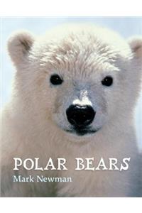 Polar Bears
