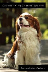 Cavaller King Charles Spaniel Tagebuch eines Welpen