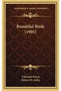 Beautiful Birds (1901)