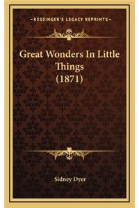 Great Wonders in Little Things (1871)