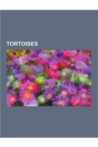 Tortoises: Jackson Ratio, Tortoise, Galapagos Tortoise, Gopher Tortoise, Desert Tortoise, Marginated Tortoise, Red-Footed Tortois