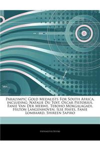 Articles on Paralympic Gold Medalists for South Africa, Including