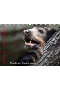 Andean Bear / UK-Version 2017