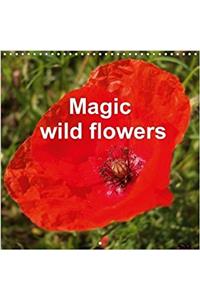 Magic Wild Flowers 2018