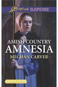 Amish Country Amnesia