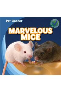 Marvelous Mice