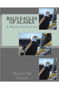 Bald Eagles of Alaska