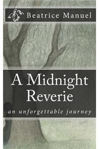 Midnight Reverie