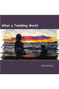 What a Twinkling World