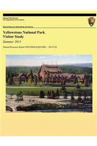 Yellowstone National Park Visitor Study