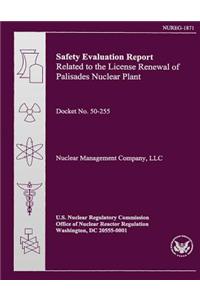 Safety Evaluation Report Related to the License Renewal of Palisades Nuclear Plant