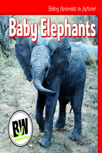 Baby Elephants