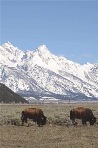Teton Mountains Near Jackson Hole Wyoming Journal