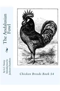 Andalusian Fowl