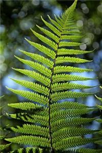 A Bright Green Fern Frond Leaf Journal