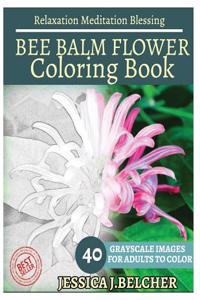Bee Balm Flower Coloring Book for Adults Relaxation Meditation Blessing