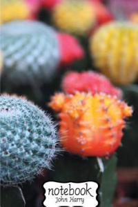 Multicolor Cactus Notebook