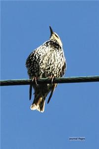 Journal Pages - Birds On A Wire
