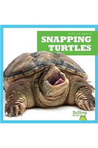 Snapping Turtles