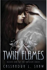 Twin Flames Book 1 of the Katoom Series