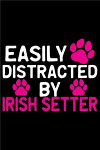 Easily Distracted by Irish Setter