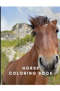 Horse Coloring Book