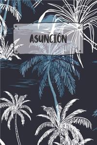 Asunción: Ruled Travel Diary Notebook or Journey Journal - Lined Trip Pocketbook for Men and Women with Lines