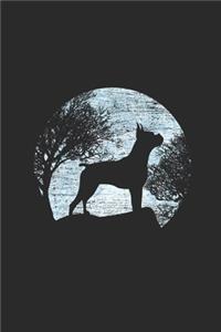 Moon Boxer