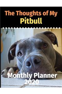 The Thoughts of My Pitbull
