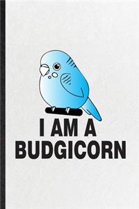 I Am a Budgicorn