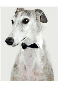 Greyhound Notebook