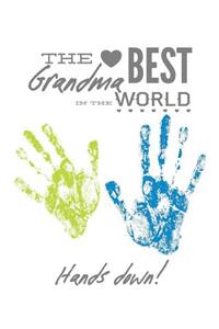 The Best Grandma In the World