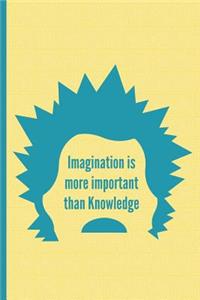 Imagination Is More Important Than Knowledge