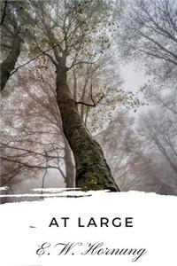 At Large