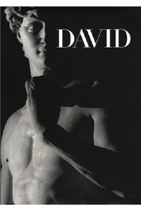 Michelangelo's David: From Symbol to Myth