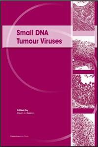 Small DNA Tumour Viruses