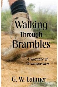 Walking Through Brambles