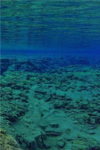 Marine Conservation is Everyone's Business