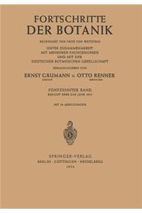 Bericht Über Das Jahr 1952