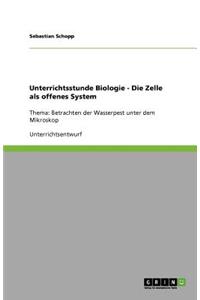 Unterrichtsstunde Biologie - Die Zelle als offenes System
