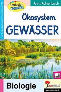 Okosystem Gewasser