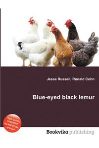 Blue-Eyed Black Lemur